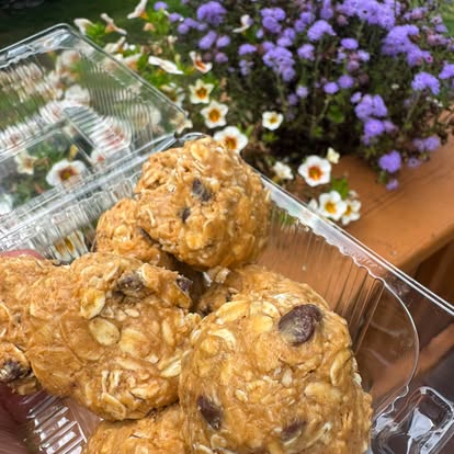 Oatmeal raisin cookies